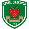 Kestel Belediyespor (N)
